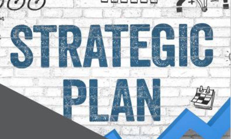 Strategic plan of SAMIFIN